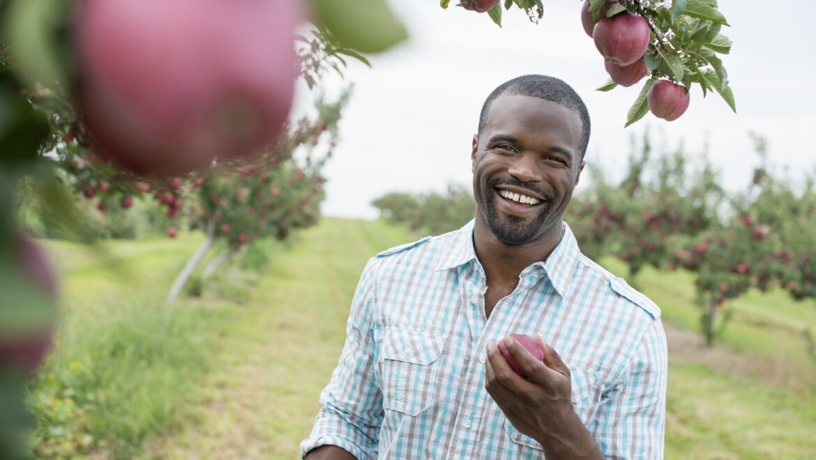 The Low Hanging Fruit of Mental Health