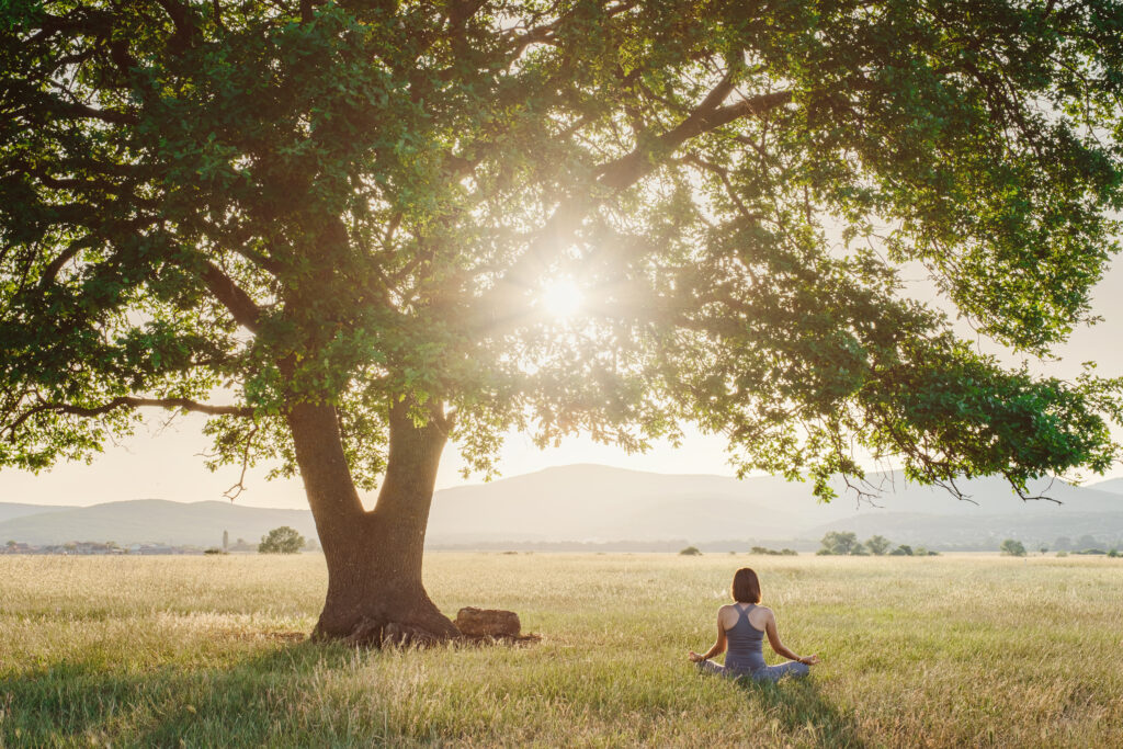 Attractive woman practices yoga in nature in summer.