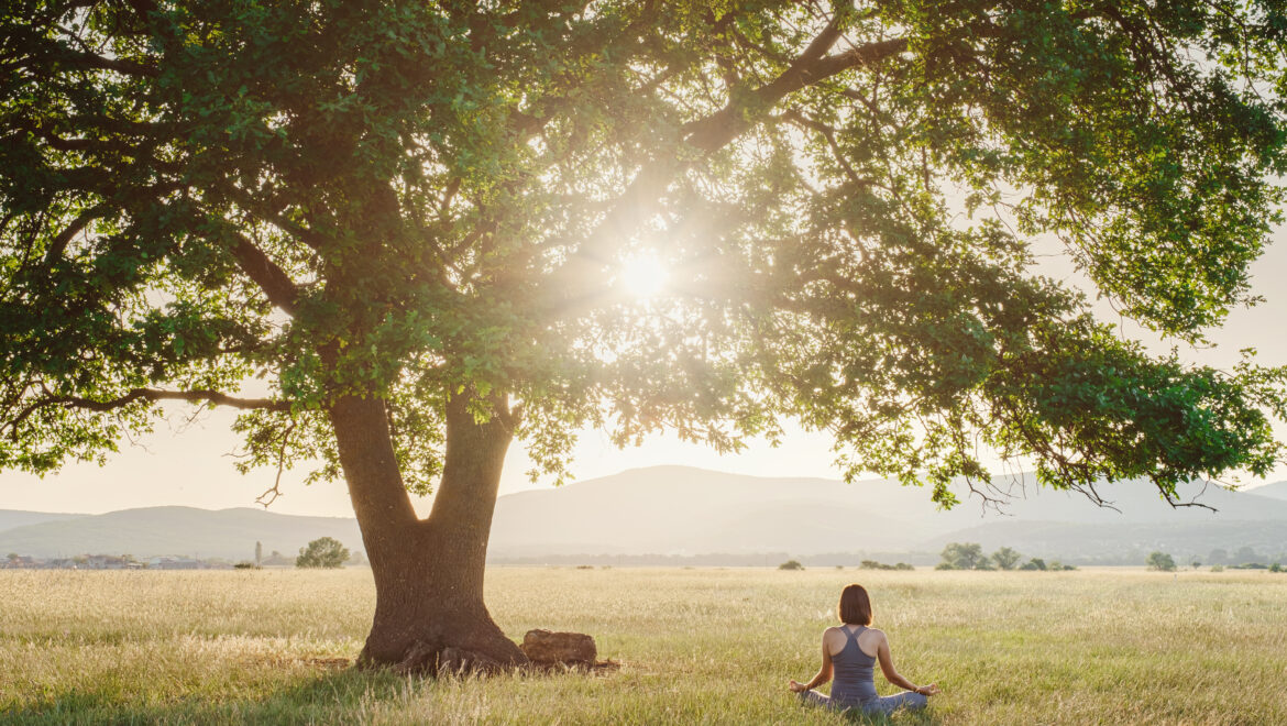 The Power of Green: Nature and Mental Health