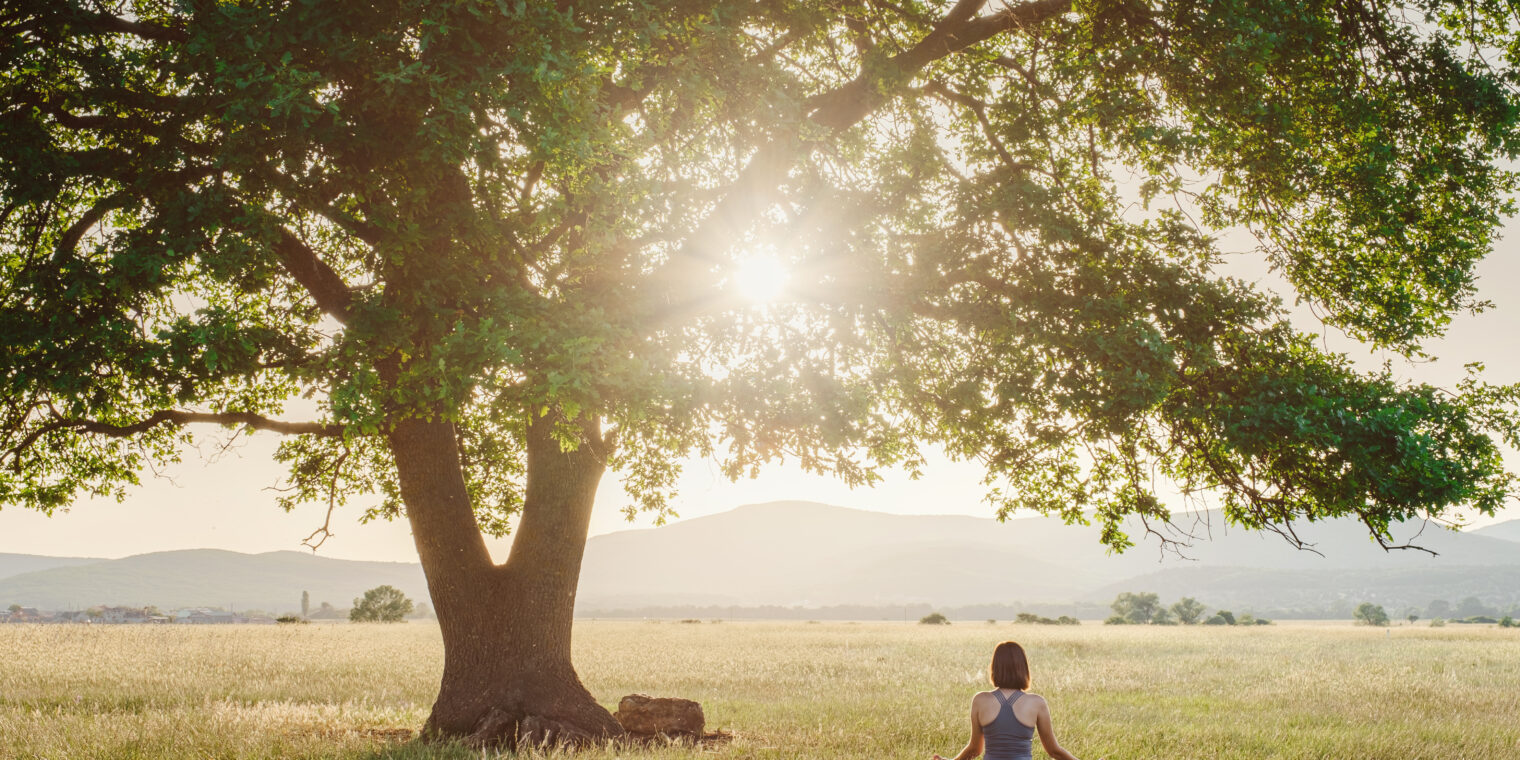 The Power of Green: Nature and Mental Health